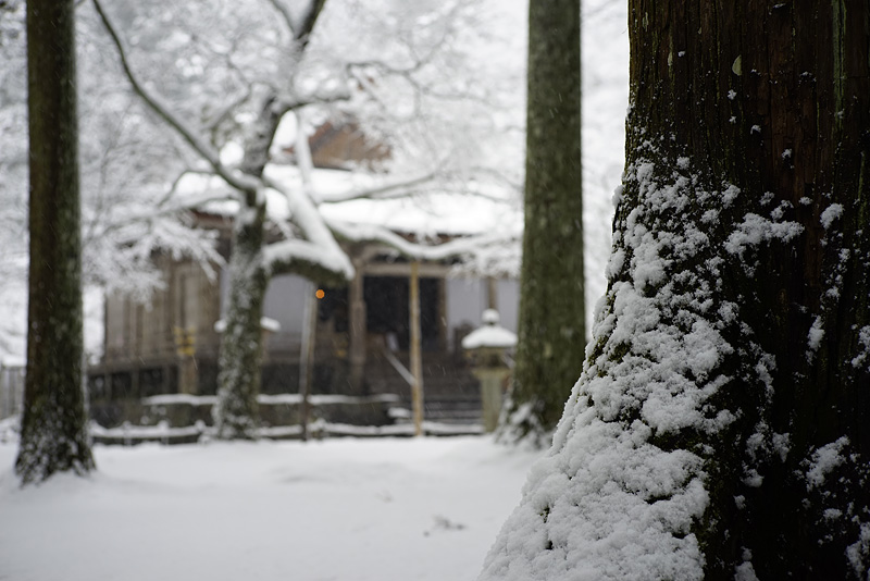 f:id:gyaos55:20150131154705j:image