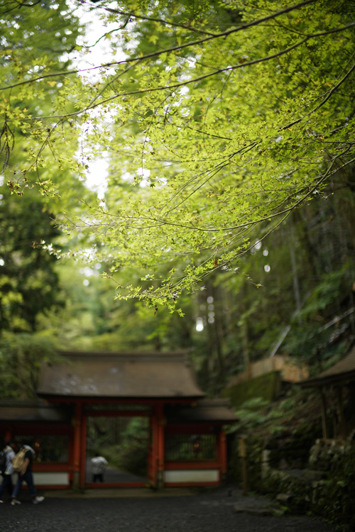 f:id:gyaos55:20150829135716j:image