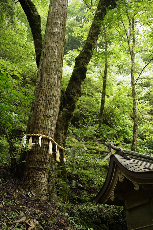 f:id:gyaos55:20150829140058j:image