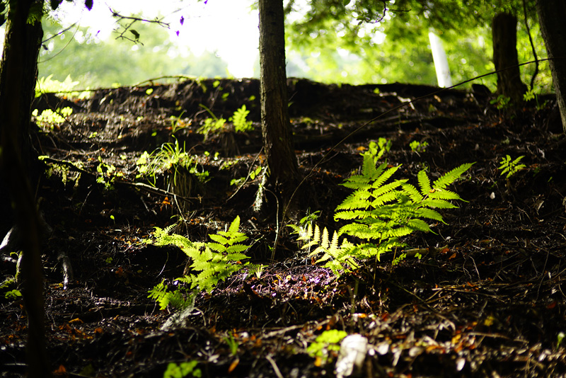 f:id:gyaos55:20150829141905j:image