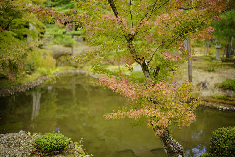 f:id:gyaos55:20151031122155j:image