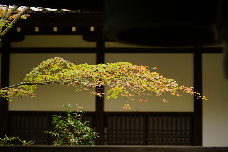 f:id:gyaos55:20151114103727j:image