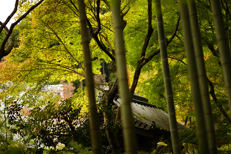 f:id:gyaos55:20151114104740j:image