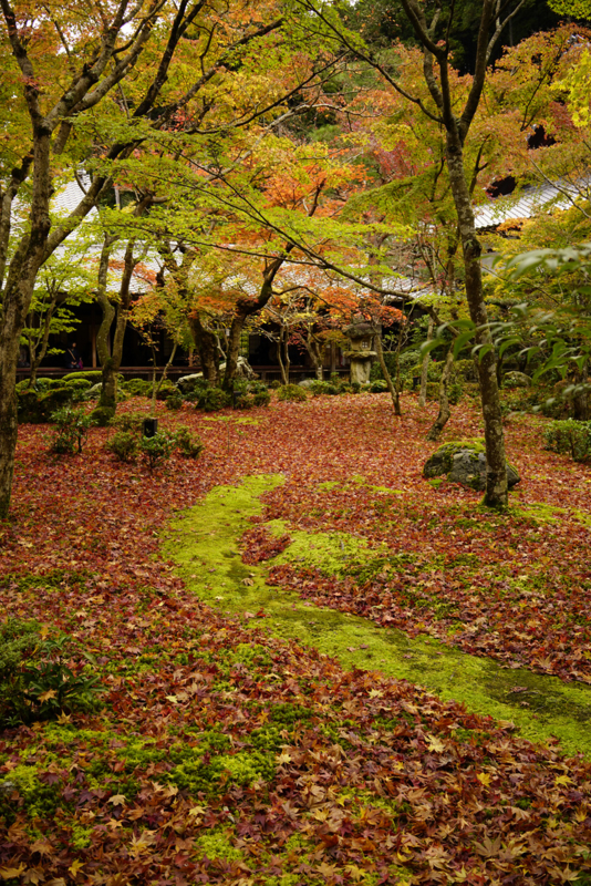 f:id:gyaos55:20151114105500j:image