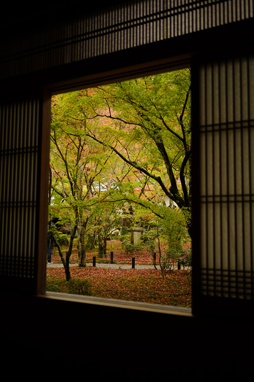 f:id:gyaos55:20151114112701j:image