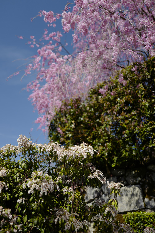 f:id:gyaos55:20190413141758j:plain