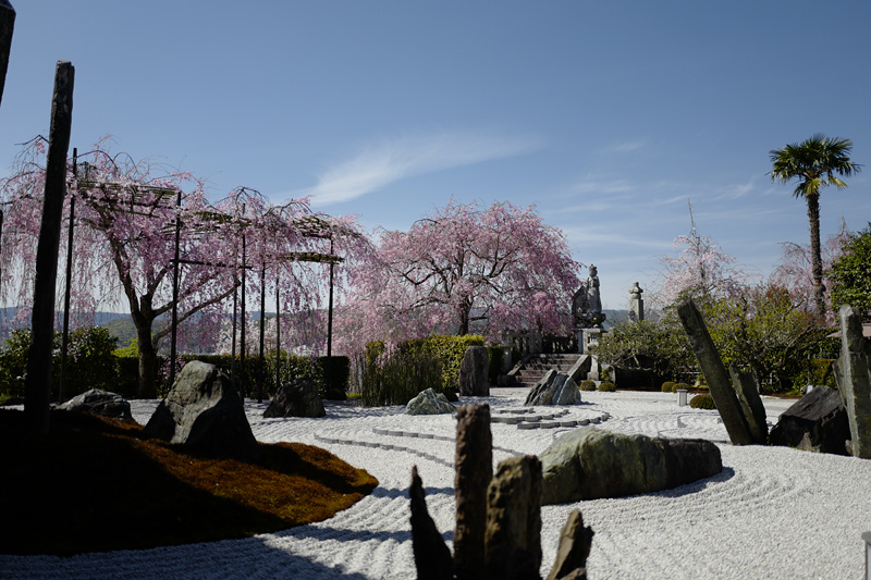 f:id:gyaos55:20190413143802j:plain