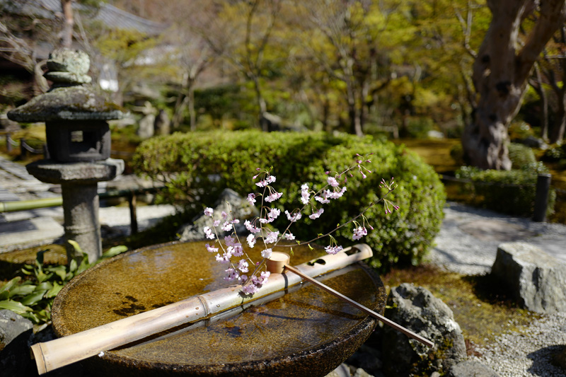 f:id:gyaos55:20190413144538j:plain