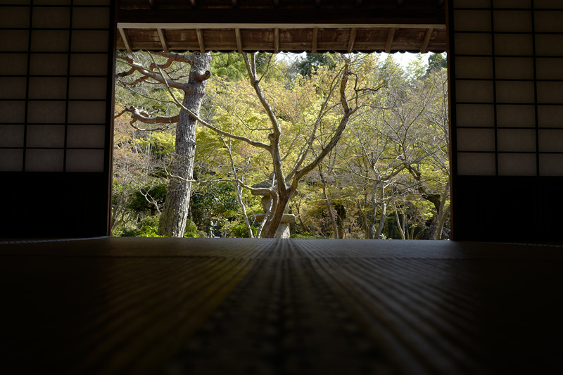 f:id:gyaos55:20190413150958j:plain