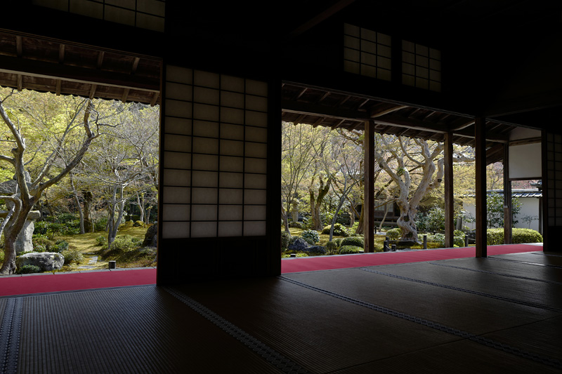 f:id:gyaos55:20190413151454j:plain