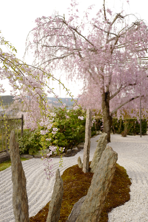 f:id:gyaos55:20190413155429j:plain