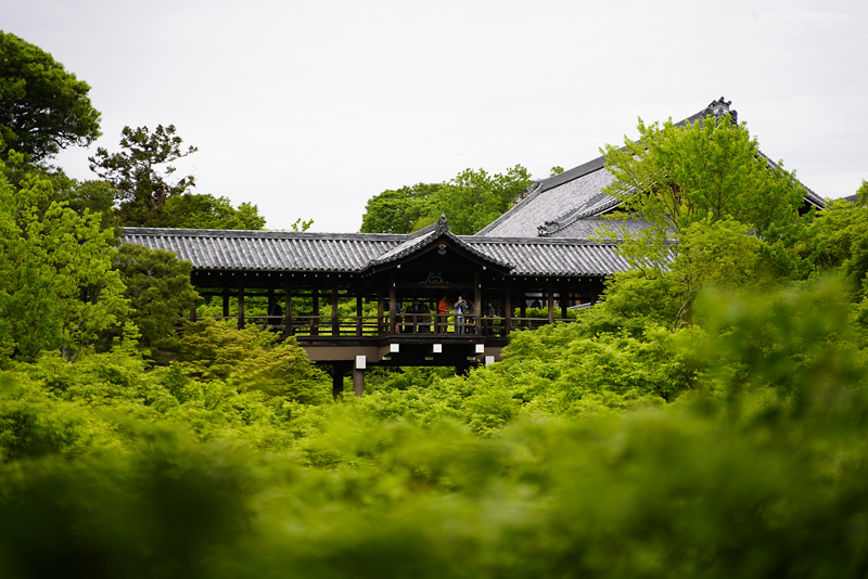 f:id:gyaos55:20190429141334j:plain f:id:gyaos55:20190429141334j:plain