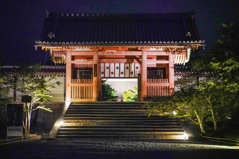 f:id:gyaos55:20190613201204j:plain