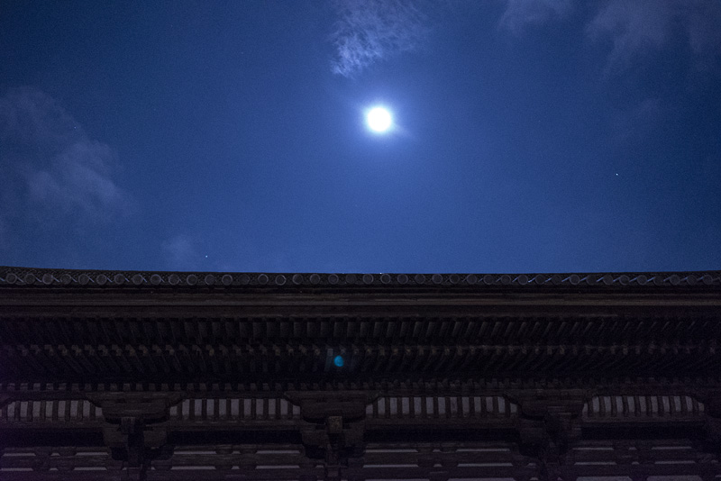 f:id:gyaos55:20190613210612j:plain