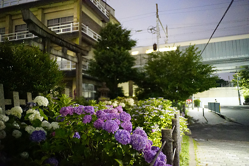 f:id:gyaos55:20190620195812j:plain f:id:gyaos55:20190620195812j:plain