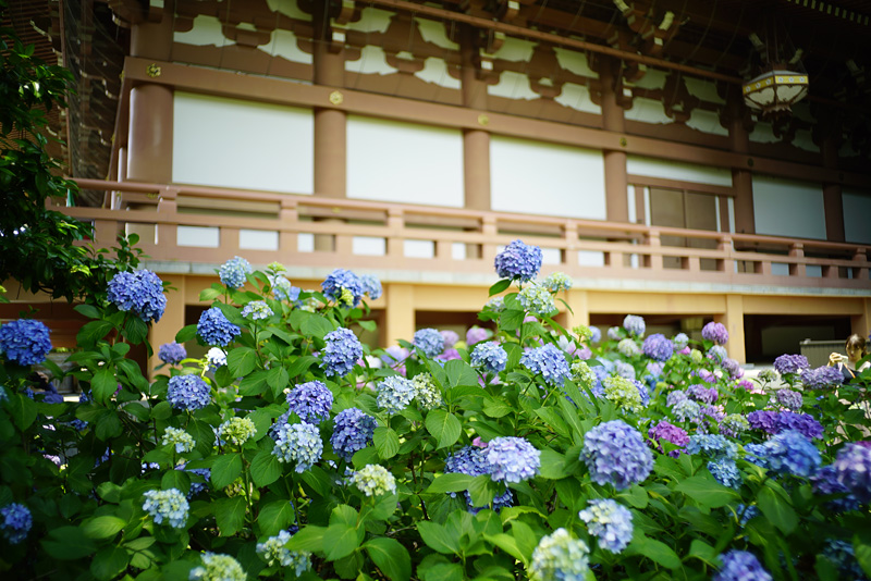 f:id:gyaos55:20190622112620j:plain