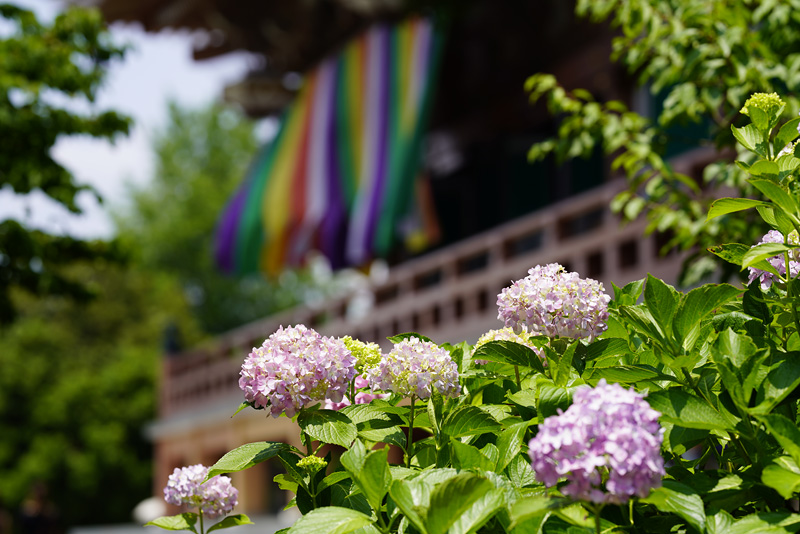 f:id:gyaos55:20190622113753j:plain