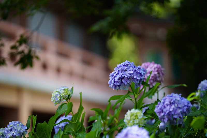 f:id:gyaos55:20190622115408j:plain