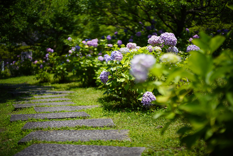 f:id:gyaos55:20190622115747j:plain