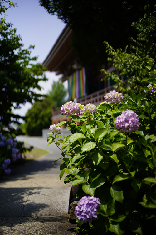 f:id:gyaos55:20190622121049j:plain