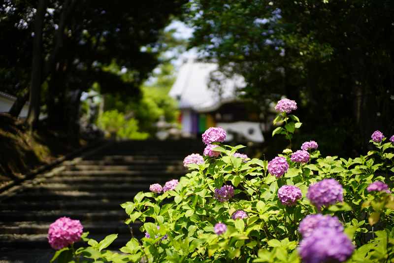 f:id:gyaos55:20190622122022j:plain