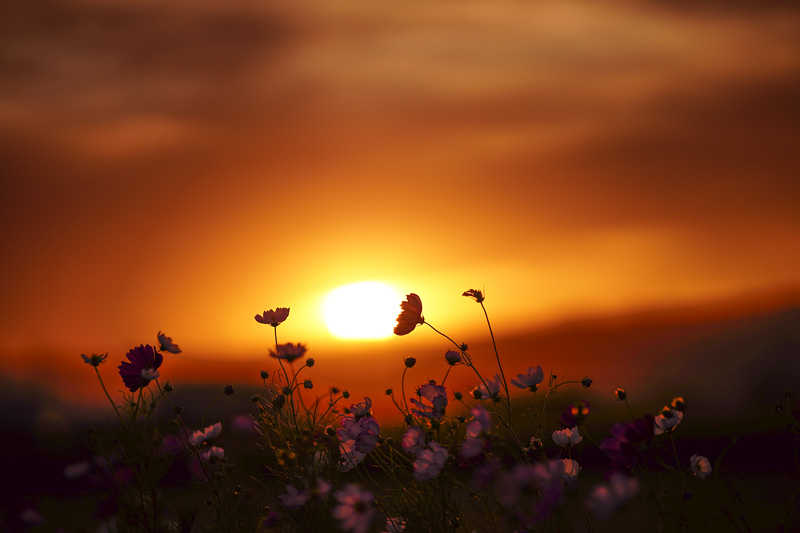 f:id:gyaos55:20191006172115j:plain f:id:gyaos55:20191006172115j:plain
