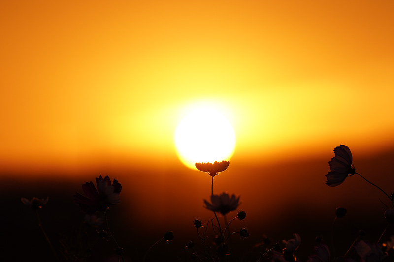 f:id:gyaos55:20191006172256j:plain f:id:gyaos55:20191006172256j:plain