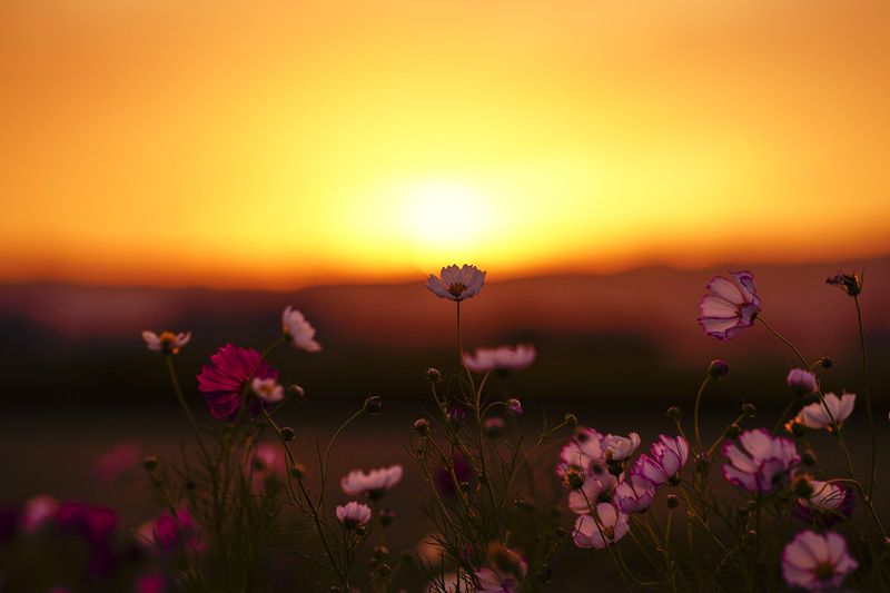 f:id:gyaos55:20191006172501j:plain f:id:gyaos55:20191006172501j:plain
