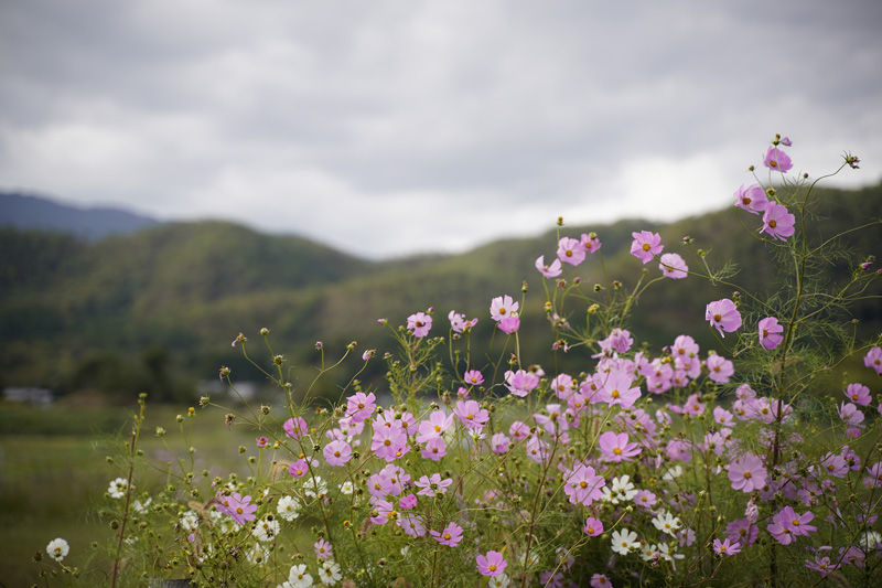 f:id:gyaos55:20191020142448j:plain f:id:gyaos55:20191020142448j:plain