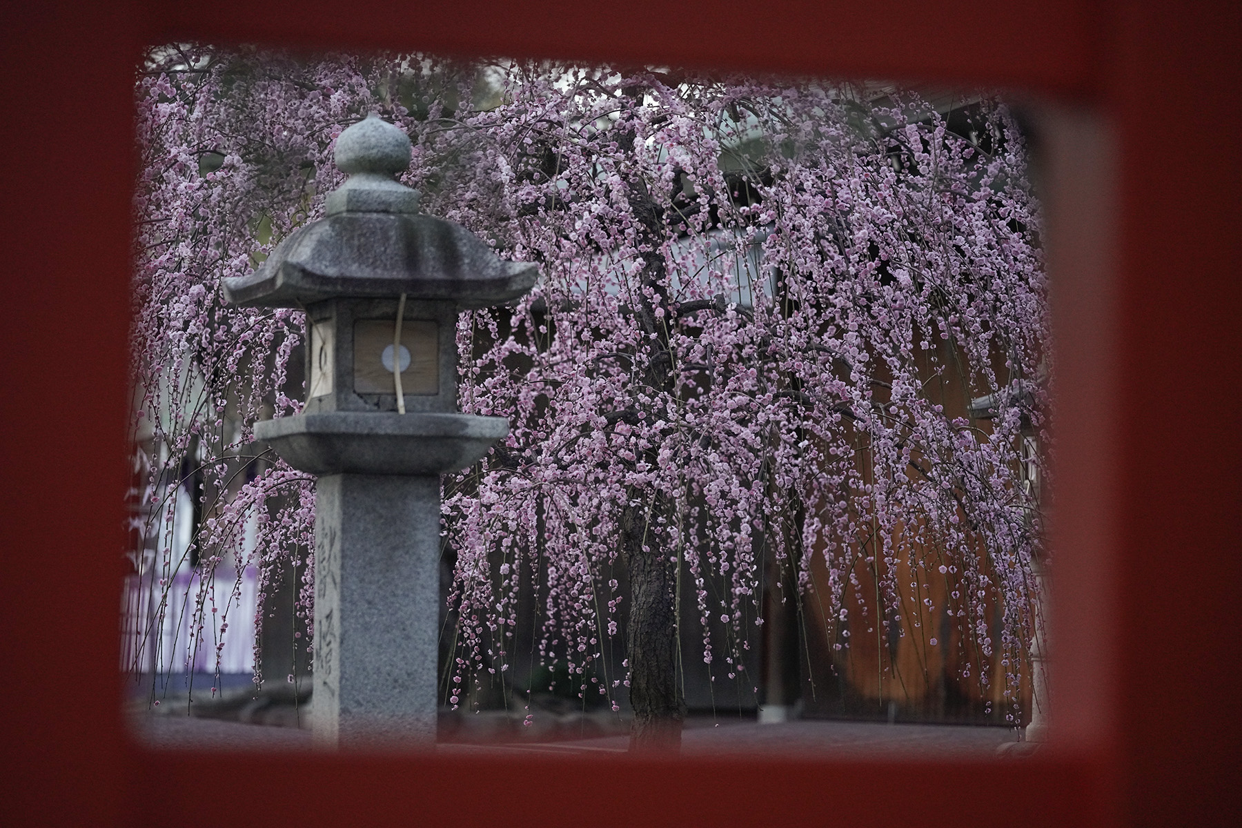 f:id:gyaos55:20210227175959j:plain