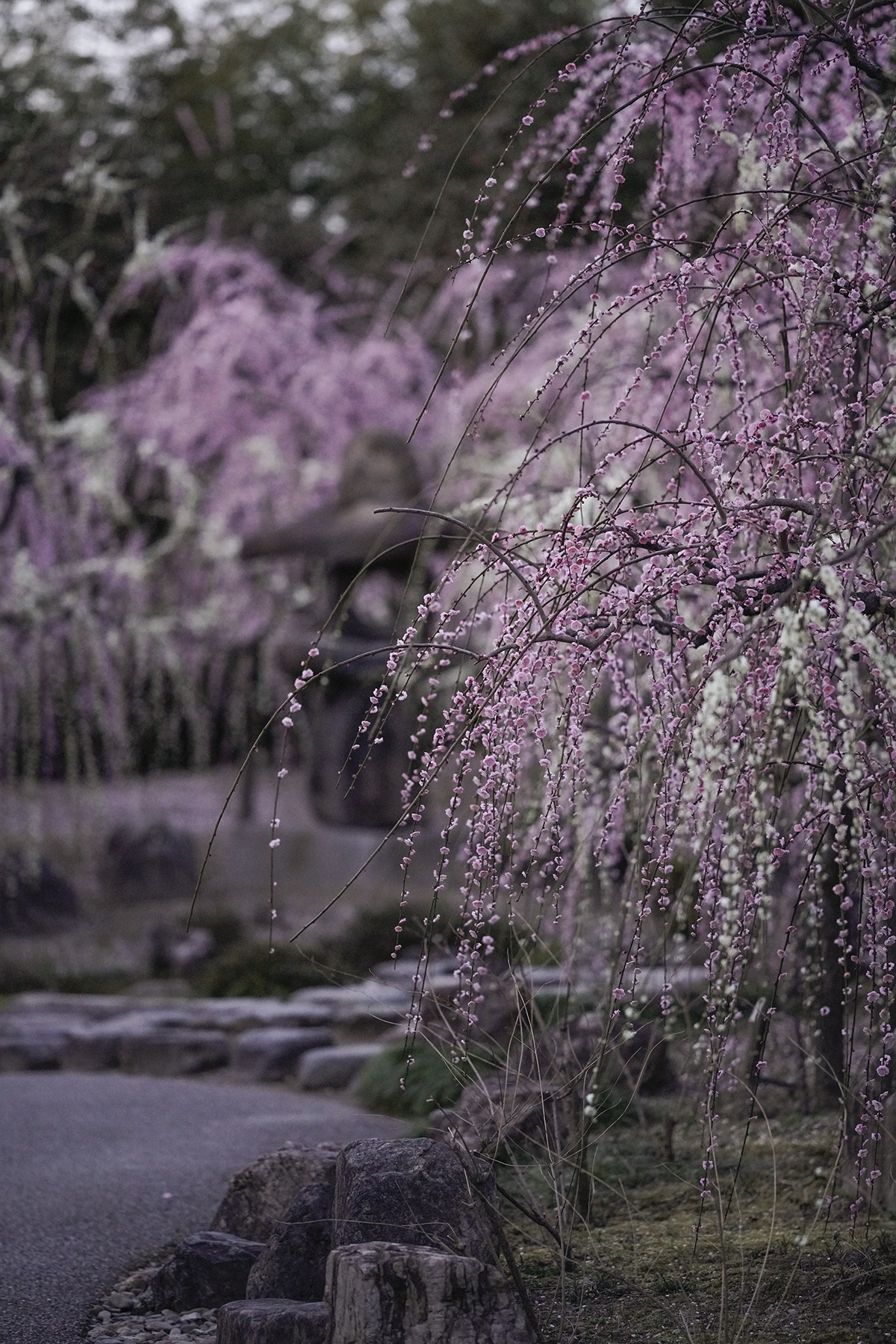 f:id:gyaos55:20210227180358j:plain