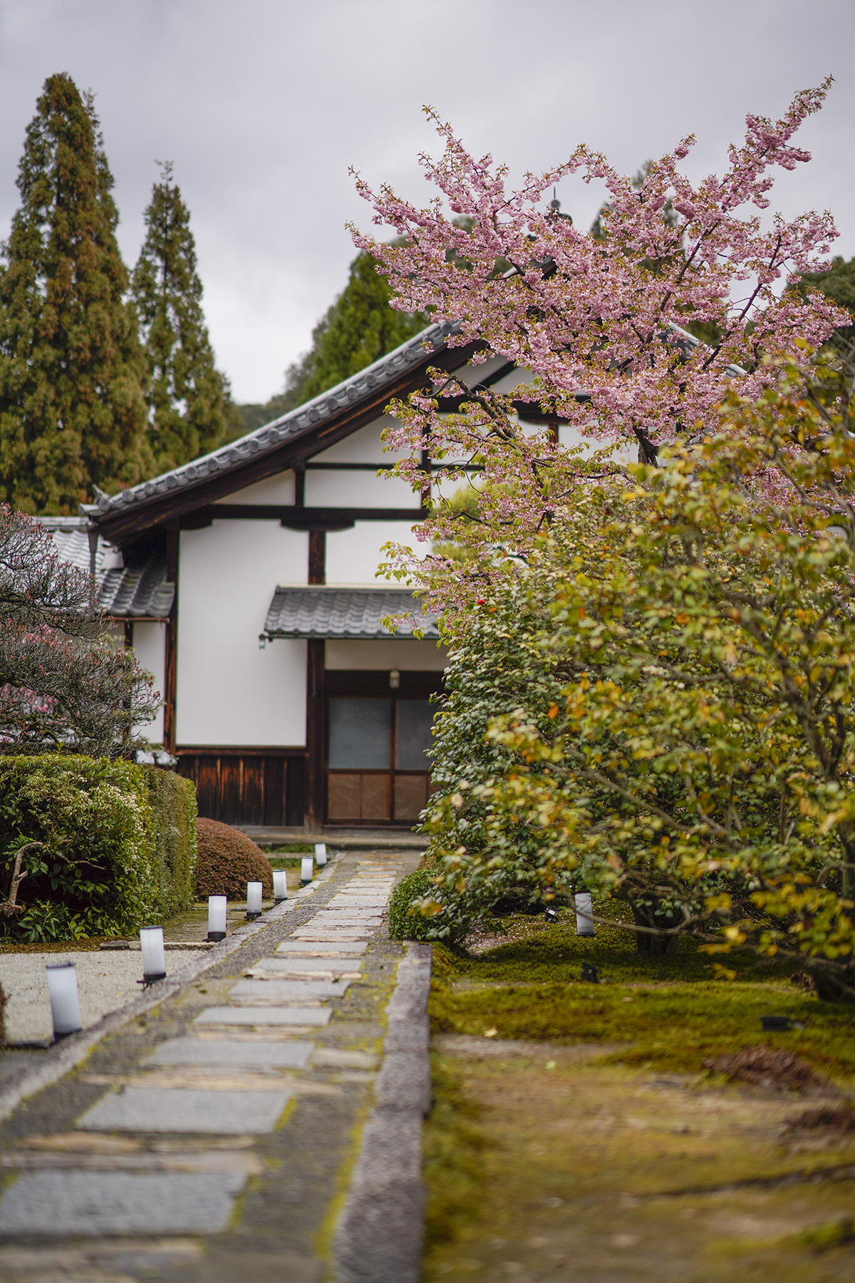 f:id:gyaos55:20210313113523j:plain