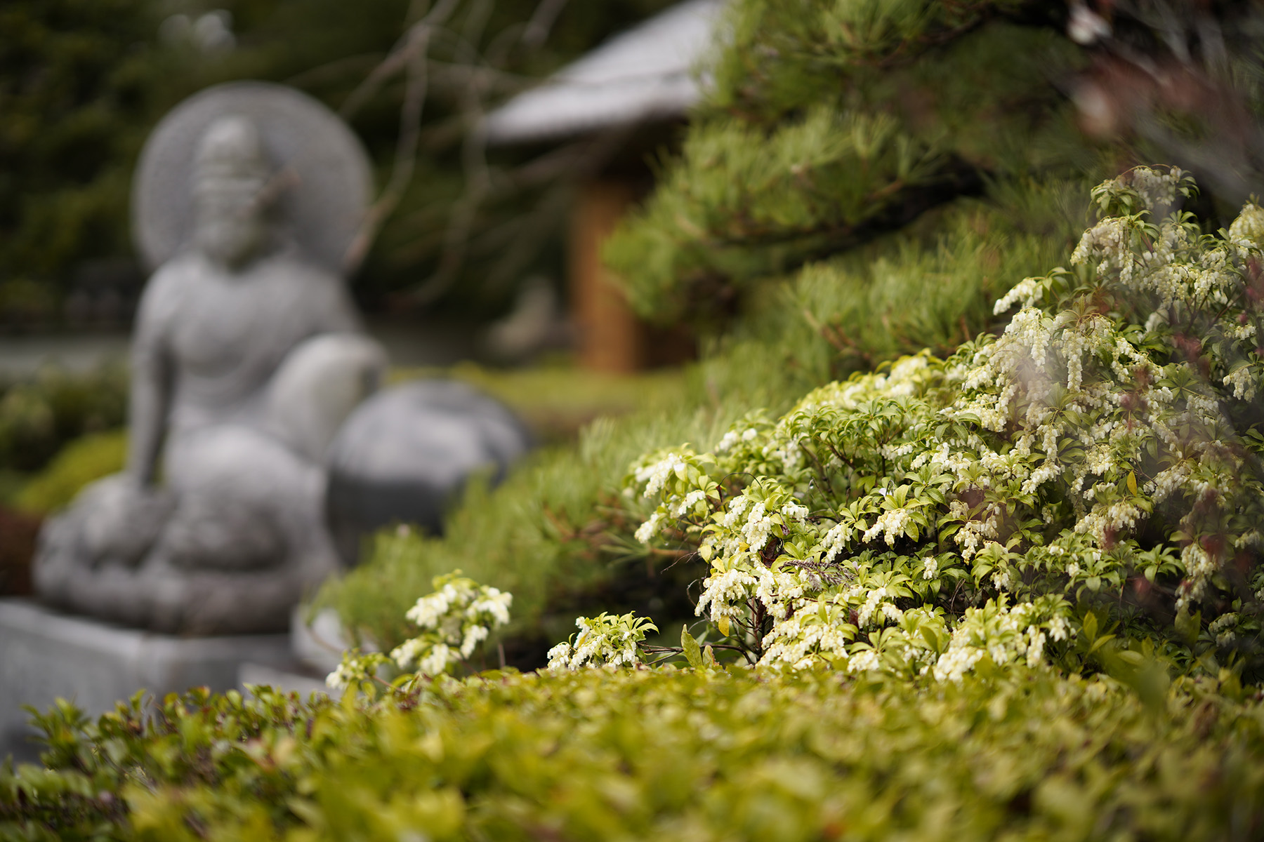 f:id:gyaos55:20210313113945j:plain