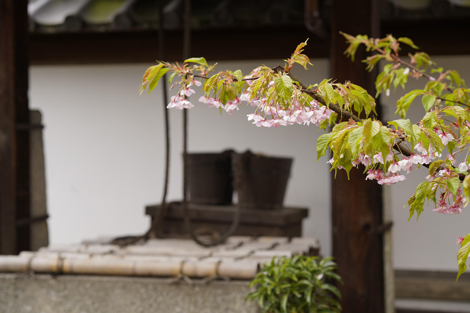 f:id:gyaos55:20210313114109j:plain