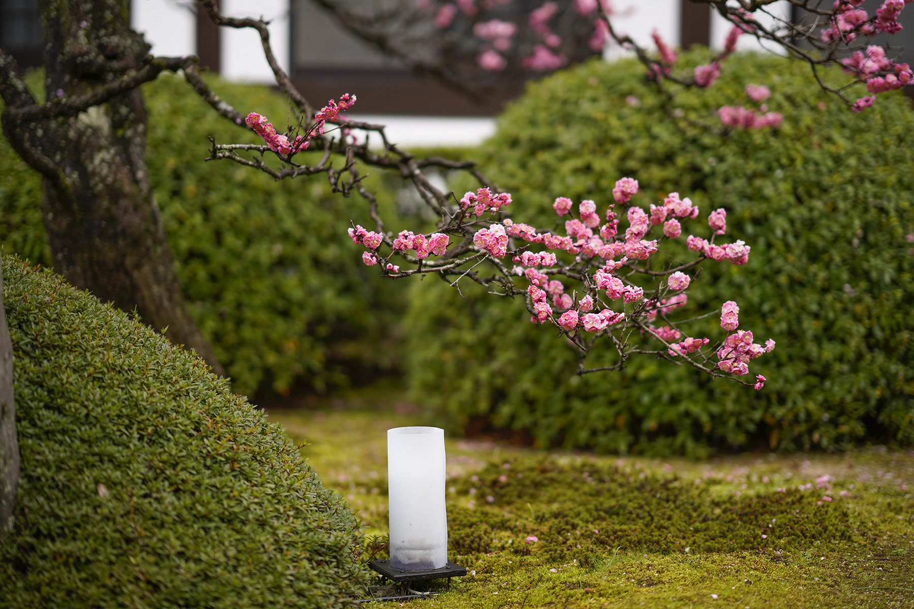 f:id:gyaos55:20210313114238j:plain