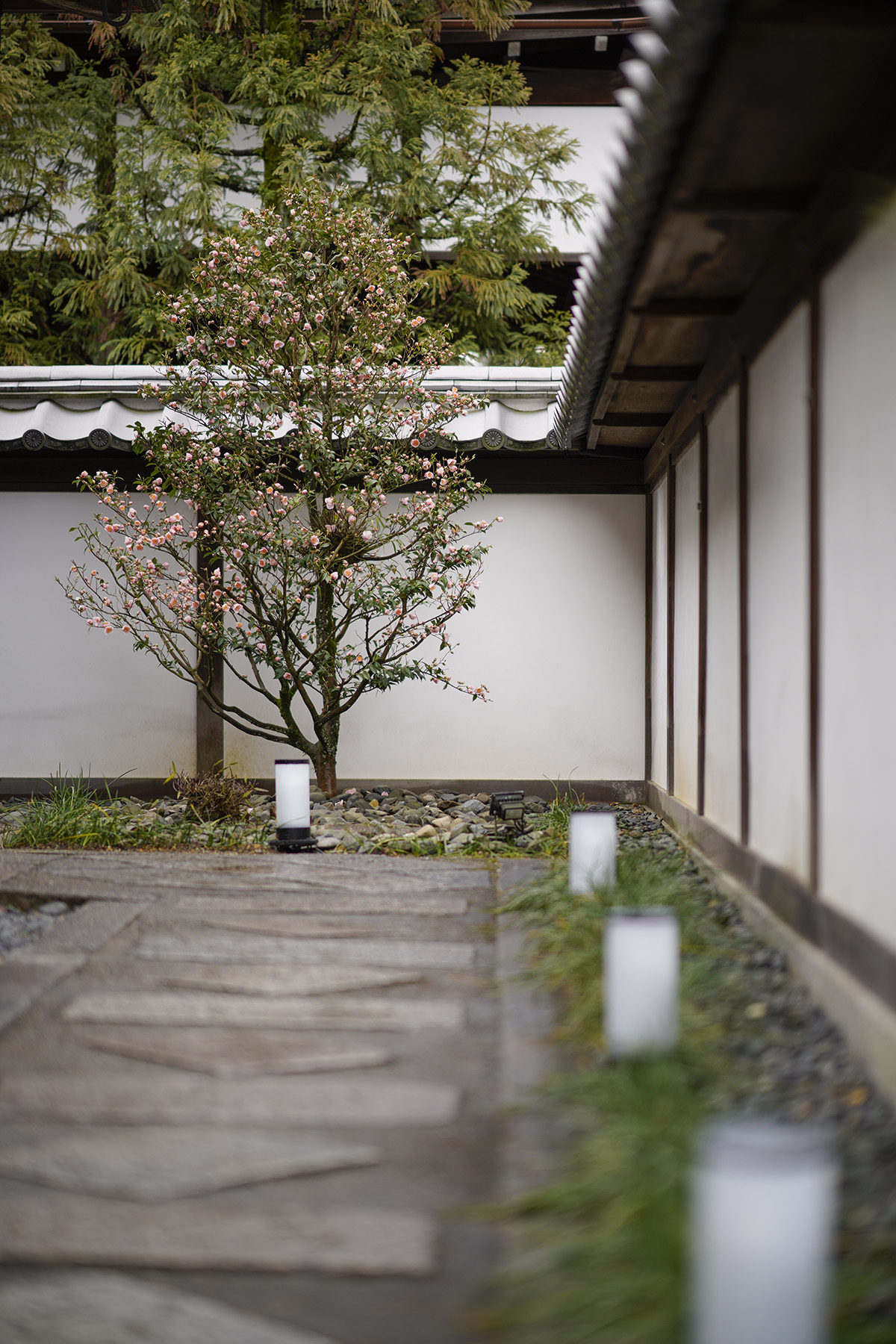 f:id:gyaos55:20210313114526j:plain