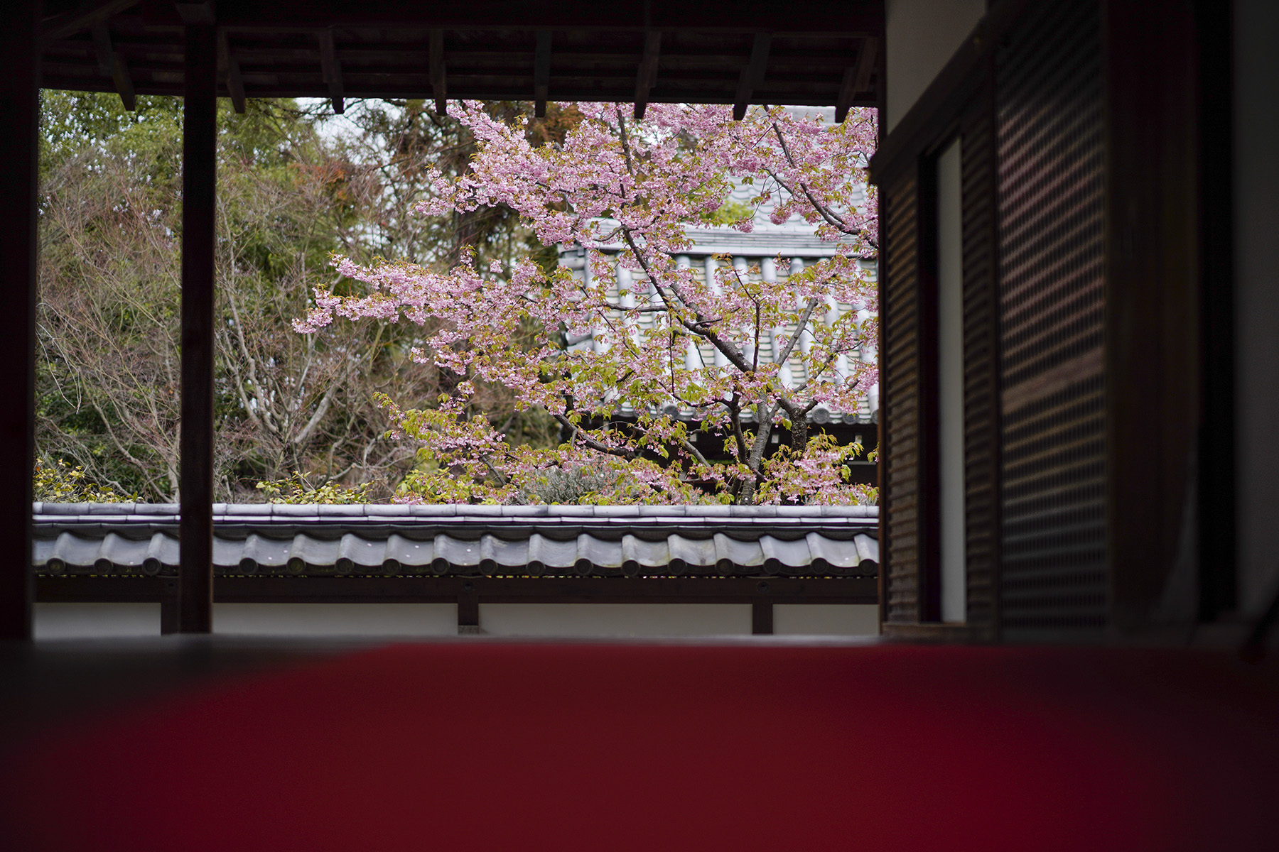 f:id:gyaos55:20210313121252j:plain