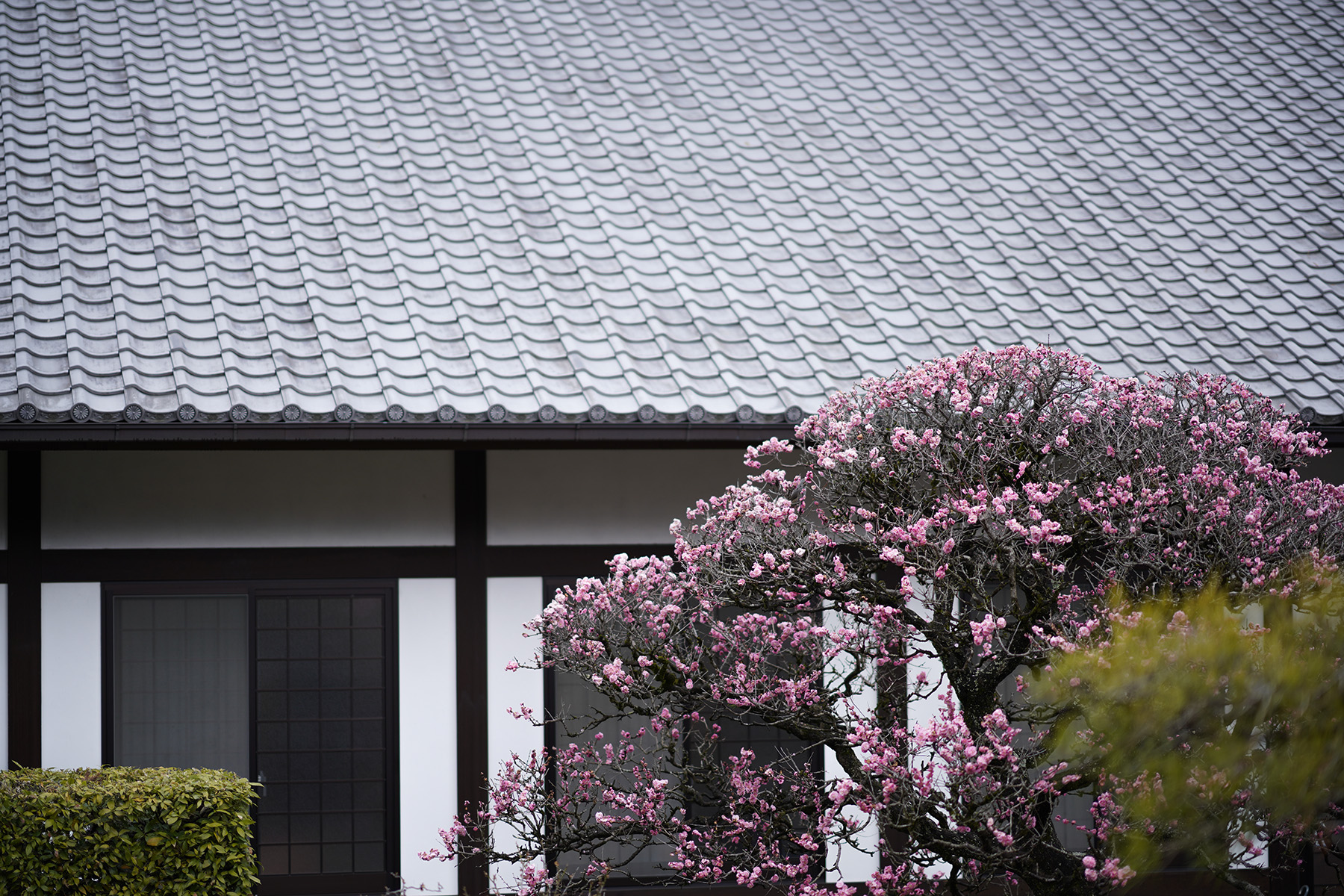 f:id:gyaos55:20210313121556j:plain