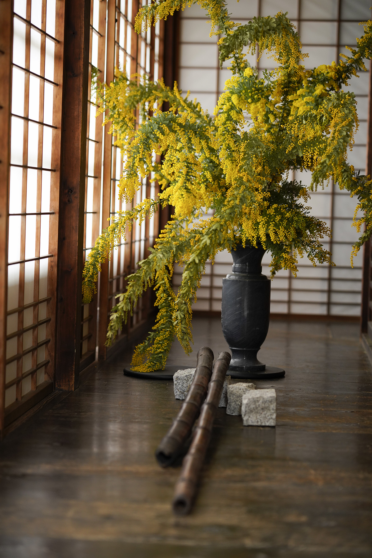 f:id:gyaos55:20210313122311j:plain