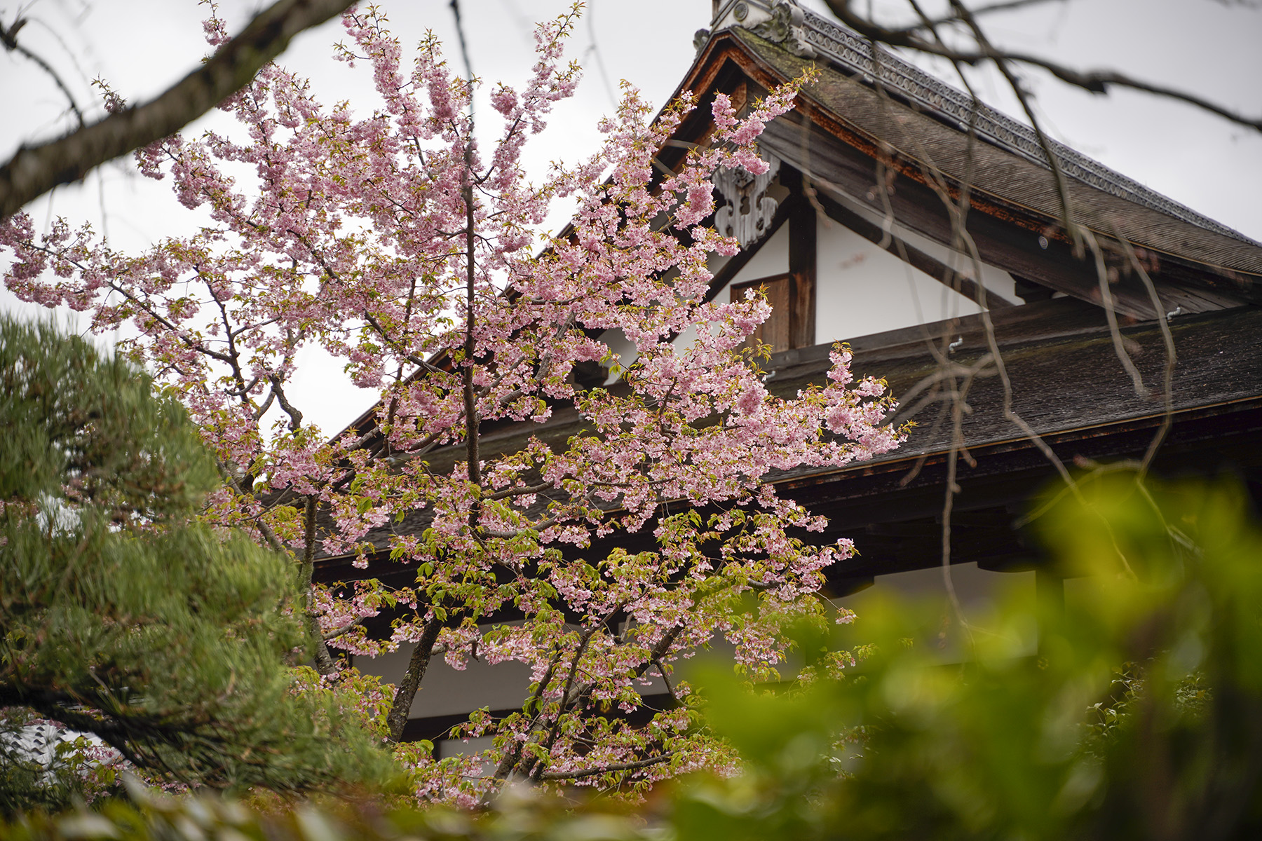 f:id:gyaos55:20210313123353j:plain