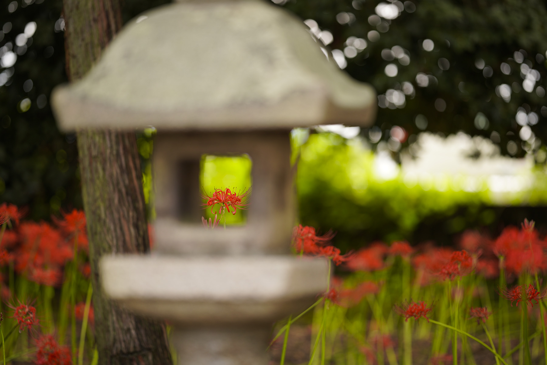 f:id:gyaos55:20210918121843j:plain