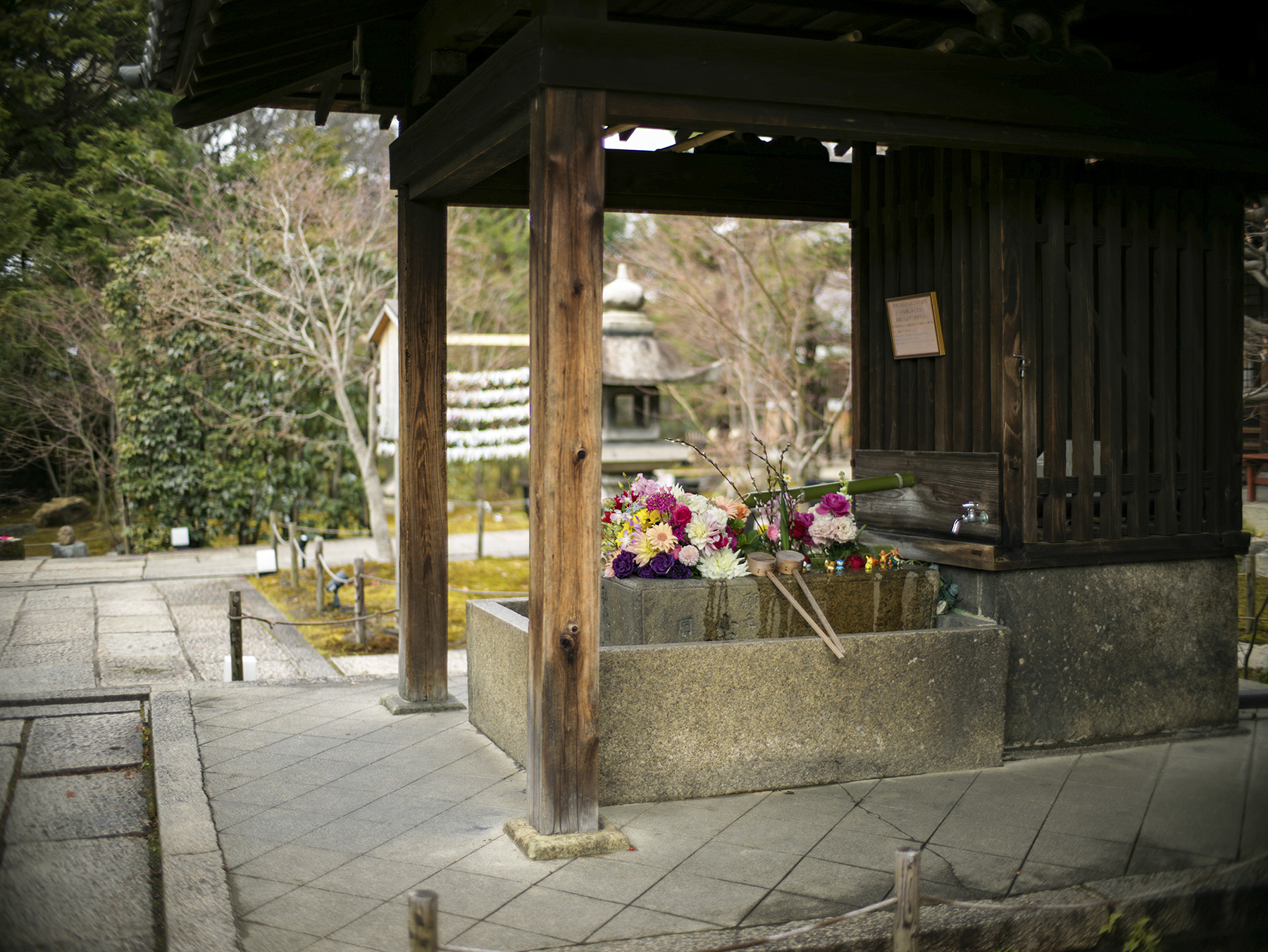 f:id:gyaos55:20220122120052j:plain