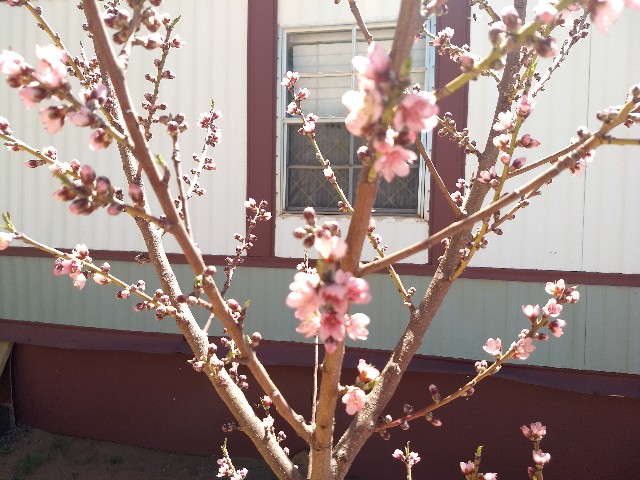 f:id:gyi2222:20210426042903j:image f:id:gyi2222:20210426042903j:image