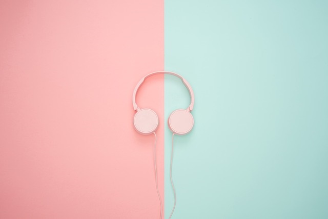 f:id:gyogo:20190417142352j:plain