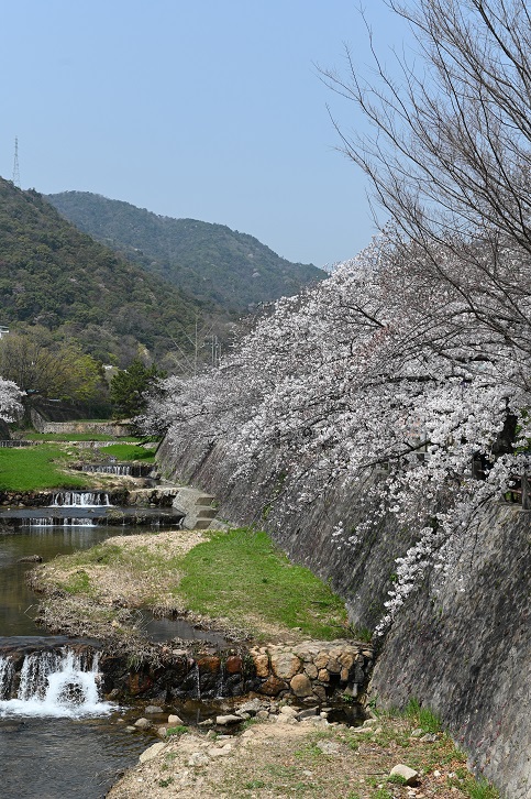 f:id:gyosinn:20210330043519j:plain