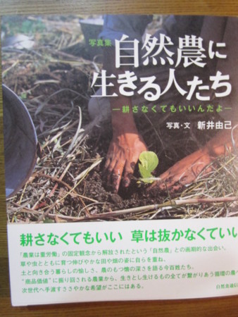 f:id:gyou:20100530205326j:image f:id:gyou:20100530205326j:image