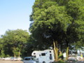 f:id:gyou:20110716171237j:image:medium