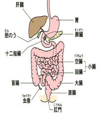 f:id:gyou:20111112084807j:image