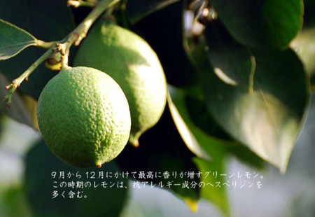 f:id:gyou:20120221075015j:image f:id:gyou:20120221075015j:image