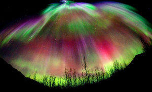 f:id:gyou:20120316062750j:image
